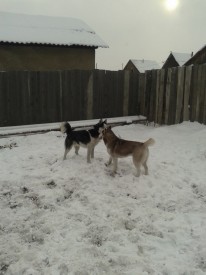 папа и мама.jpg (161.17 КБ, Просмотров: 1598) папа и мама.jpg