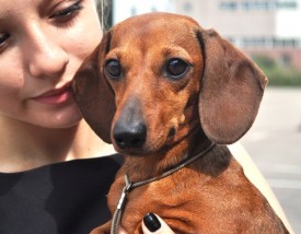 18qb6vFq.jpg (111.6 КБ, Просмотров: 1650) 18qb6vFq.jpg