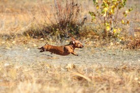 C38ZWck8.jpg (224.78 КБ, Просмотров: 1741) C38ZWck8.jpg