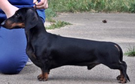 jSo8iptr.jpg (97.69 КБ, Просмотров: 1648) jSo8iptr.jpg