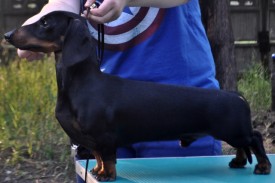 jSo8iptx.jpg (98.45 КБ, Просмотров: 1649) jSo8iptx.jpg