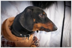 62feb892e269.jpg (43.21 КБ, Просмотров: 1740) 62feb892e269.jpg