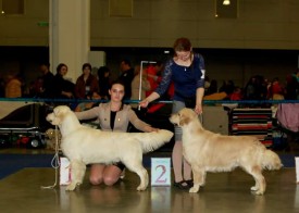 FB_IMG_1427117663765.jpg (30.7 КБ, Просмотров: 2700) FB_IMG_1427117663765.jpg