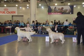 FB_IMG_1427049676426.jpg (33.39 КБ, Просмотров: 2700) FB_IMG_1427049676426.jpg