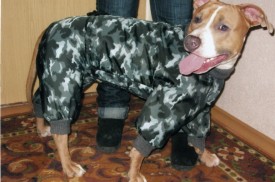 File0296ссс.jpg (144.82 КБ, Просмотров: 30357) File0296ссс.jpg