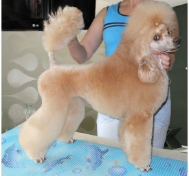 лайма стойка.jpg (157.73 КБ, Просмотров: 2591) лайма стойка.jpg