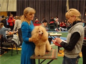 imageф.jpg (68.2 КБ, Просмотров: 2218) imageф.jpg