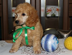 ттт.jpg (890.34 КБ, Просмотров: 2582) ттт.jpg