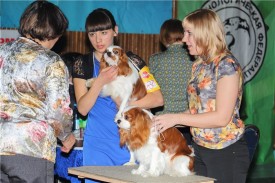 bd1323bd2442.jpg (112.09 КБ, Просмотров: 11809) bd1323bd2442.jpg