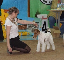 image.jpg (71.21 КБ, Просмотров: 1375) image.jpg