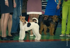 image.jpg (73.9 КБ, Просмотров: 1371) image.jpg