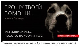 2maIuBM7_fA.jpg (107.15 КБ, Просмотров: 8830) 2maIuBM7_fA.jpg