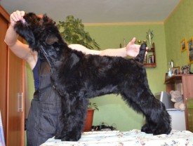 wJxDHba1SYg.jpg (95.76 КБ, Просмотров: 1471) wJxDHba1SYg.jpg