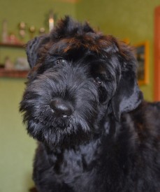 ZDuGpowr50o.jpg (84.45 КБ, Просмотров: 1339) ZDuGpowr50o.jpg