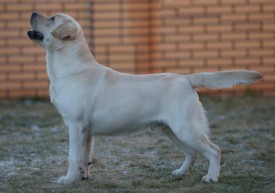 17914_800x560_11093296_809647905768549_1980898.jpg (60.03 КБ, Просмотров: 1815) 17914_800x560_11093296_809647905768549_1980898.jpg