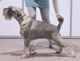 QACzSedBHPM.jpg (144.37 КБ, Просмотров: 3803) QACzSedBHPM.jpg