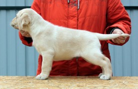 фио.jpg (76.62 КБ, Просмотров: 1645) фио.jpg