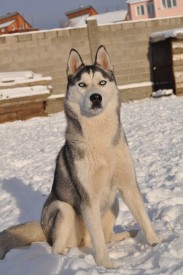 S4nrZ.jpg (135.38 КБ, Просмотров: 2211) S4nrZ.jpg