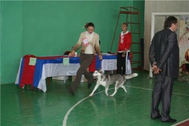 RDfaP.jpg (48.44 КБ, Просмотров: 2210) RDfaP.jpg