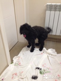 1636339822.jpg (34.16 КБ, Просмотров: 2128) 1636339822.jpg