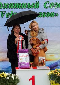 1418341_661502987214943_1313916018_n.jpg (62.61 КБ, Просмотров: 5818) 1418341_661502987214943_1313916018_n.jpg