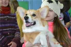 fdf5cdf05cc4.jpg (62.57 КБ, Просмотров: 4669) fdf5cdf05cc4.jpg