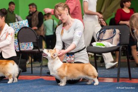 DSC_6181.jpg (335.8 КБ, Просмотров: 4814) DSC_6181.jpg