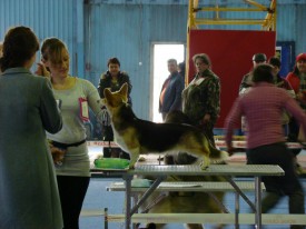 IMG-20150413-WA0001.jpg (147.49 КБ, Просмотров: 4658) IMG-20150413-WA0001.jpg