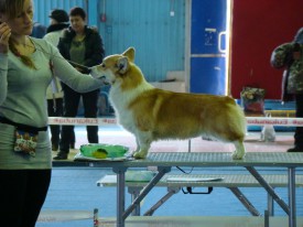 IMG-20150413-WA0002.jpg (143.48 КБ, Просмотров: 4658) IMG-20150413-WA0002.jpg