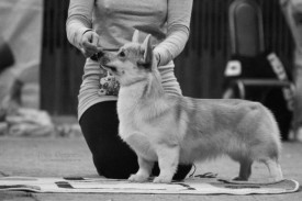 lipRb8Tz.jpg (39.6 КБ, Просмотров: 4800) lipRb8Tz.jpg