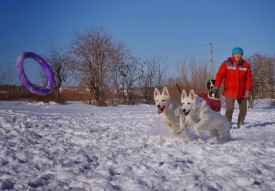 Шань и Дем2.jpg (195.41 КБ, Просмотров: 6553) Шань и Дем2.jpg