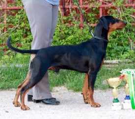 EsFY4WYdBBE.jpg (116.75 КБ, Просмотров: 1295) EsFY4WYdBBE.jpg