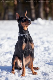 1.jpg (180.75 КБ, Просмотров: 1231) 1.jpg