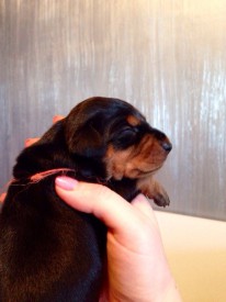 3km7JWaNDW8.jpg (121.42 КБ, Просмотров: 1231) 3km7JWaNDW8.jpg