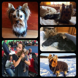 IMG_4142.jpg (256.22 КБ, Просмотров: 1171) IMG_4142.jpg