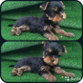 1684837385.jpg (90.43 КБ, Просмотров: 1171) 1684837385.jpg