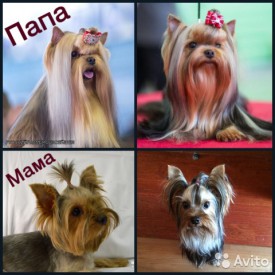 1694695893.jpg (67.47 КБ, Просмотров: 1171) 1694695893.jpg