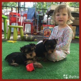 1694752246.jpg (92.11 КБ, Просмотров: 1170) 1694752246.jpg