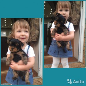 1694751449.jpg (60.57 КБ, Просмотров: 1170) 1694751449.jpg