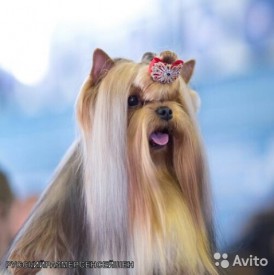 1694771815.jpg (42.31 КБ, Просмотров: 1165) 1694771815.jpg