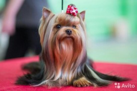 1694771814.jpg (39.26 КБ, Просмотров: 1165) 1694771814.jpg