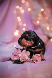 wQt6-ki7PC4.jpg (76.76 КБ, Просмотров: 1264) wQt6-ki7PC4.jpg