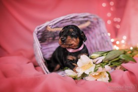 7fAdYe6HrM8.jpg (123.2 КБ, Просмотров: 1200) 7fAdYe6HrM8.jpg