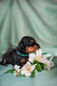 HbzNx0ybgDk.jpg (72.63 КБ, Просмотров: 1264) HbzNx0ybgDk.jpg