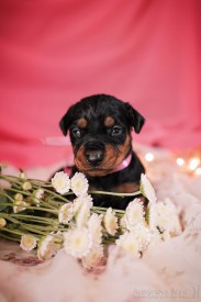 nYwQoIBenA8.jpg (85.56 КБ, Просмотров: 1264) nYwQoIBenA8.jpg