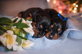 NghfybtDWCE.jpg (150.03 КБ, Просмотров: 1200) NghfybtDWCE.jpg