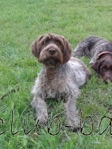 ___20150418_1566358732.jpg (22.27 КБ, Просмотров: 3122) ___20150418_1566358732.jpg