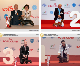 wds2015_junior_fci4.png (1.55 МБ, Просмотров: 4073) wds2015_junior_fci4.png