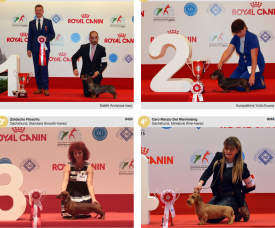 wds2015_fci4.png (1.66 МБ, Просмотров: 3414) wds2015_fci4.png