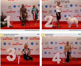 wds2015_fci5.png (1.54 МБ, Просмотров: 3615) wds2015_fci5.png